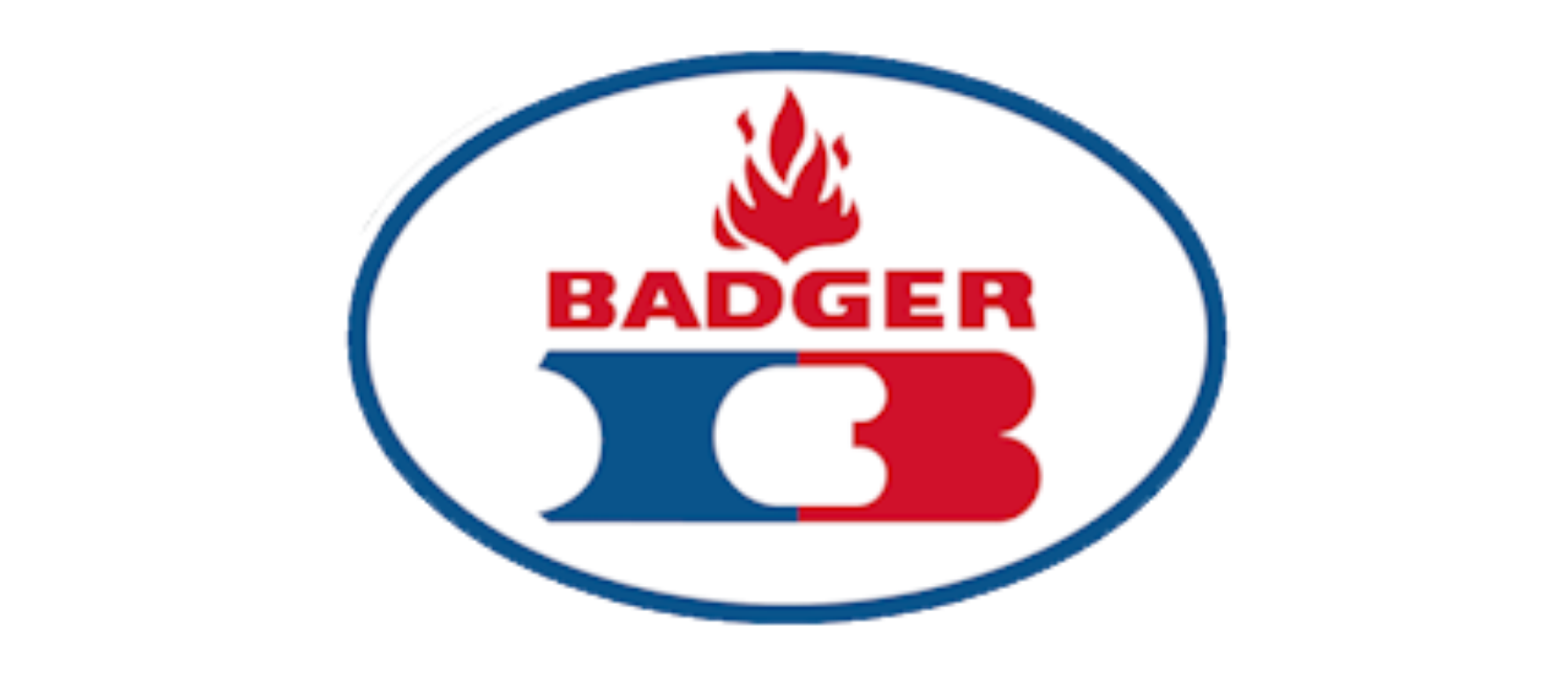 Logo-Badger-ING-LATAM-SAS